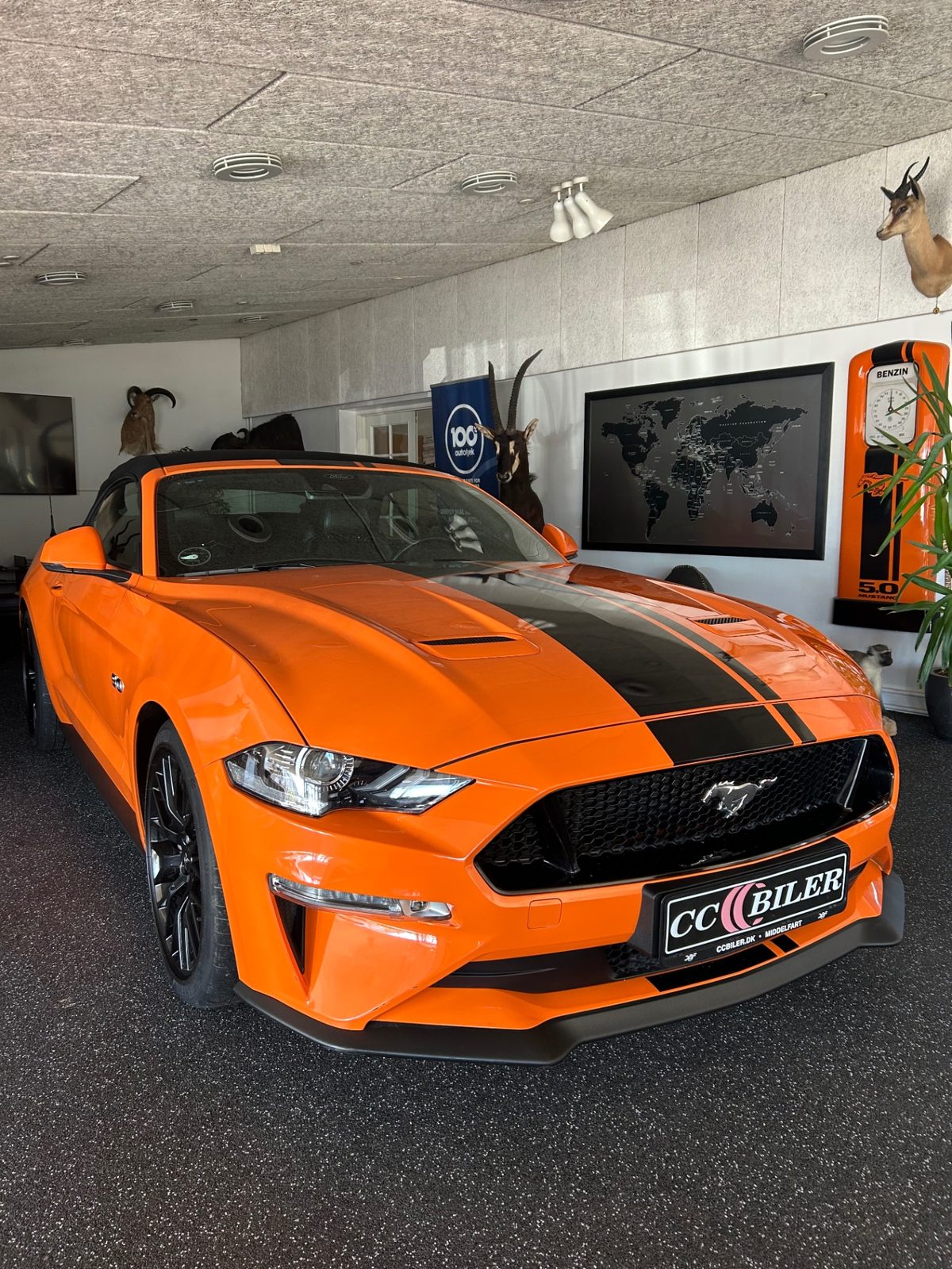 Orange Ford Mustang i CC Bilers showroom i Middelfart