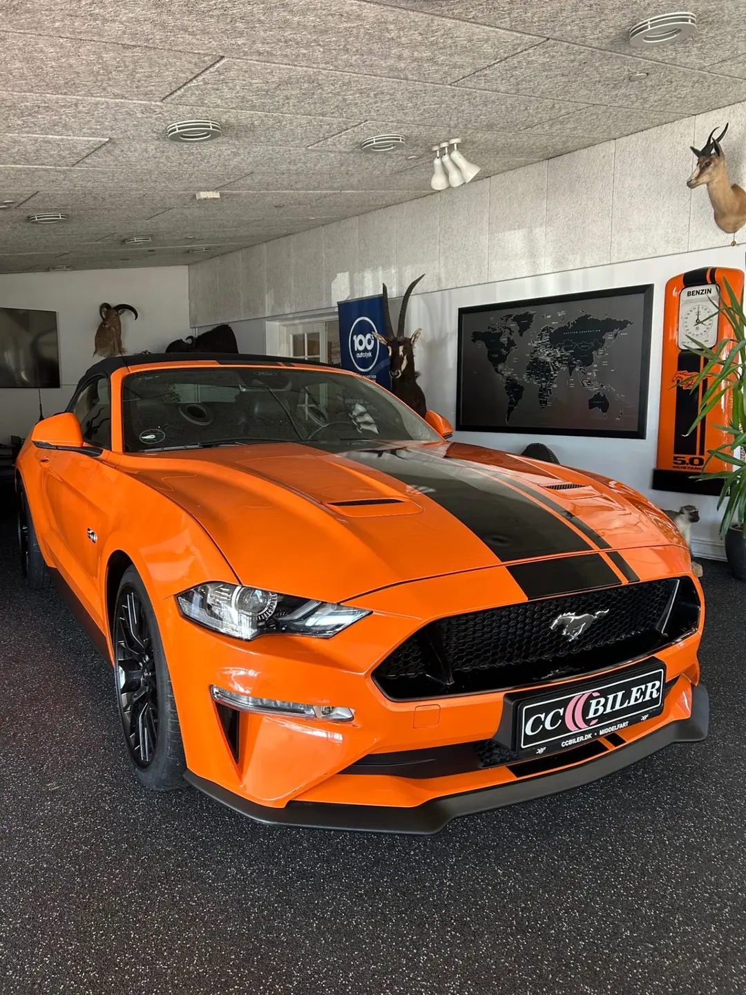 Orange Ford Mustang i CC Bilers showroom i Middelfart